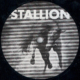 Stallion 001