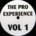 OVER 2 - Unknown Artist - The Pro Experience Vol 1 - (12", Unofficial)