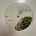 PRRUKWHT 005 - Eduardo De La Calle - Tr3B Conspiracy - (12", Whi)