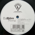 DJ Björn-1