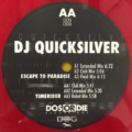 DJ Quicksilver-2