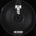 Stefan Fischer-1