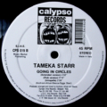 Tameka Starr-2
