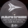 Future Breeze-1
