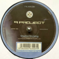 Q Project-1