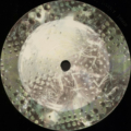 B-Zet-2