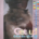 Technotronic-0