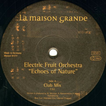 Electric Fruit Orchestra-0