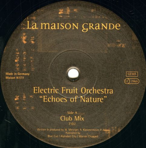 Electric Fruit Orchestra-0