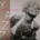 Yazz-0