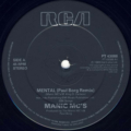 Manic MC's Featuring Sara Carlson-2