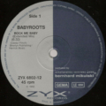 Babyroots-1