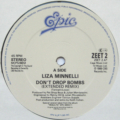 Liza Minnelli-2
