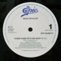 Dead Or Alive-2