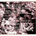 Twin Shadow-3