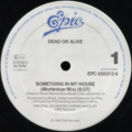 Dead Or Alive-2