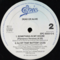 Dead Or Alive-3