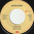Kate Bush-3