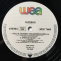We've Got A Fuzzbox And We're Gonna Use It!*-3