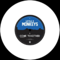 Little X Monkeys-1
