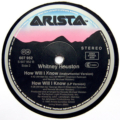Whitney Houston-3