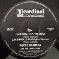 Rocco Granata & The Carnations-2