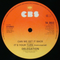 Delegation-3