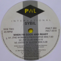 Sybil-3