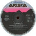 Taylor Dayne-2