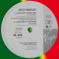 Ziggy Marley And The Melody Makers-2