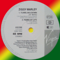 Ziggy Marley And The Melody Makers-3
