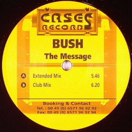 Bush (2)-0