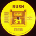 Bush (2)-2