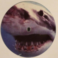 Pounding Grooves & R.A.W.-1
