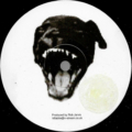 Rob Jarvis-3