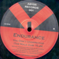 Endurance-1
