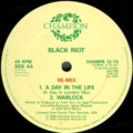 Black Riot-2